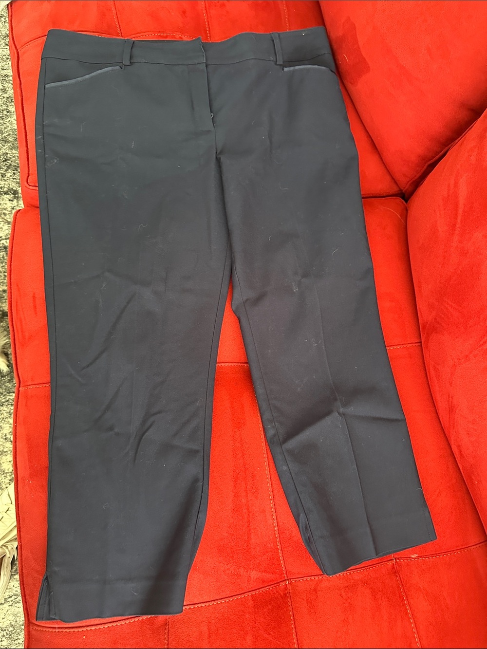 Woman Classic Navy Capri Dress Pants 14